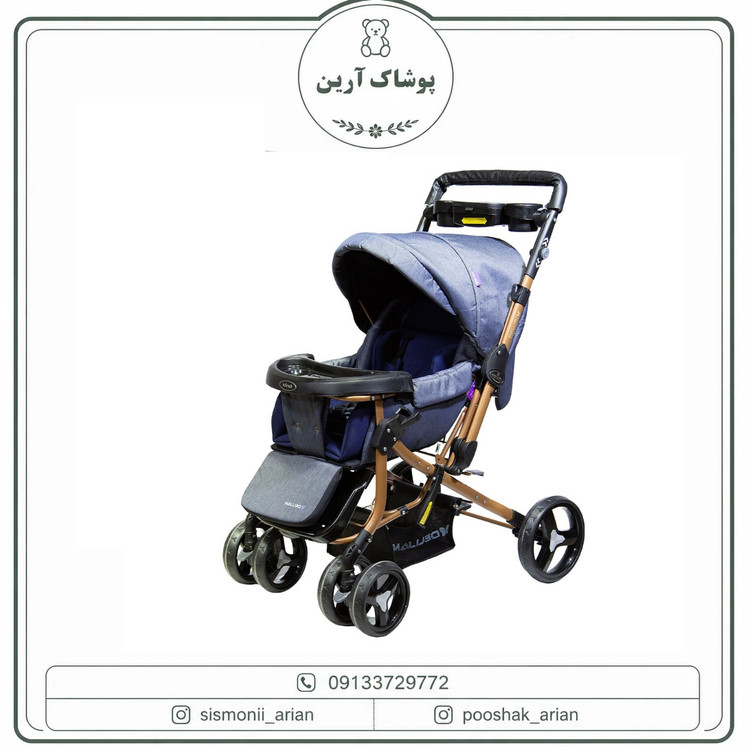 کالسکه دلیجان مدل بنیتا